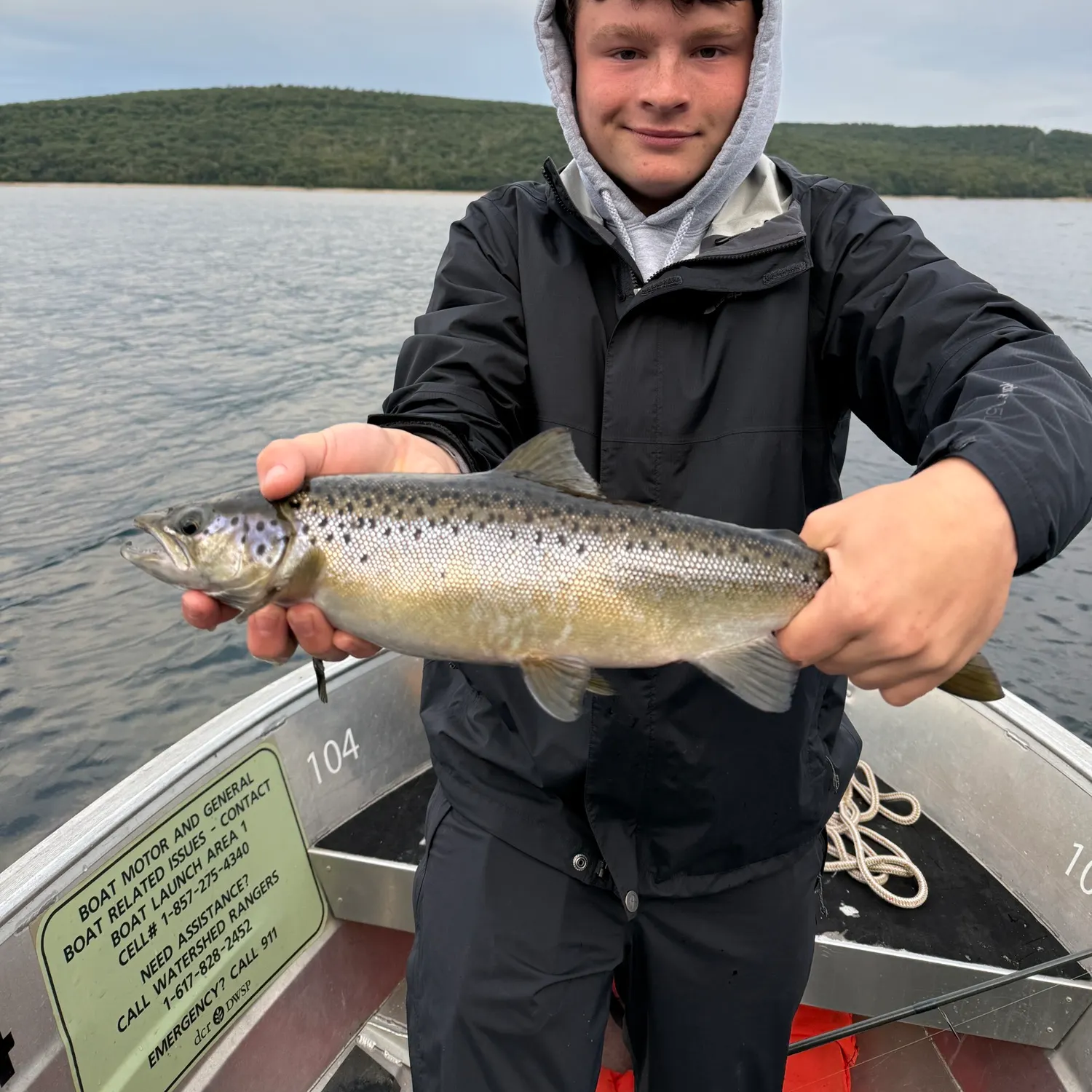 Landlocked atlantic salmon caught on Fishbrain