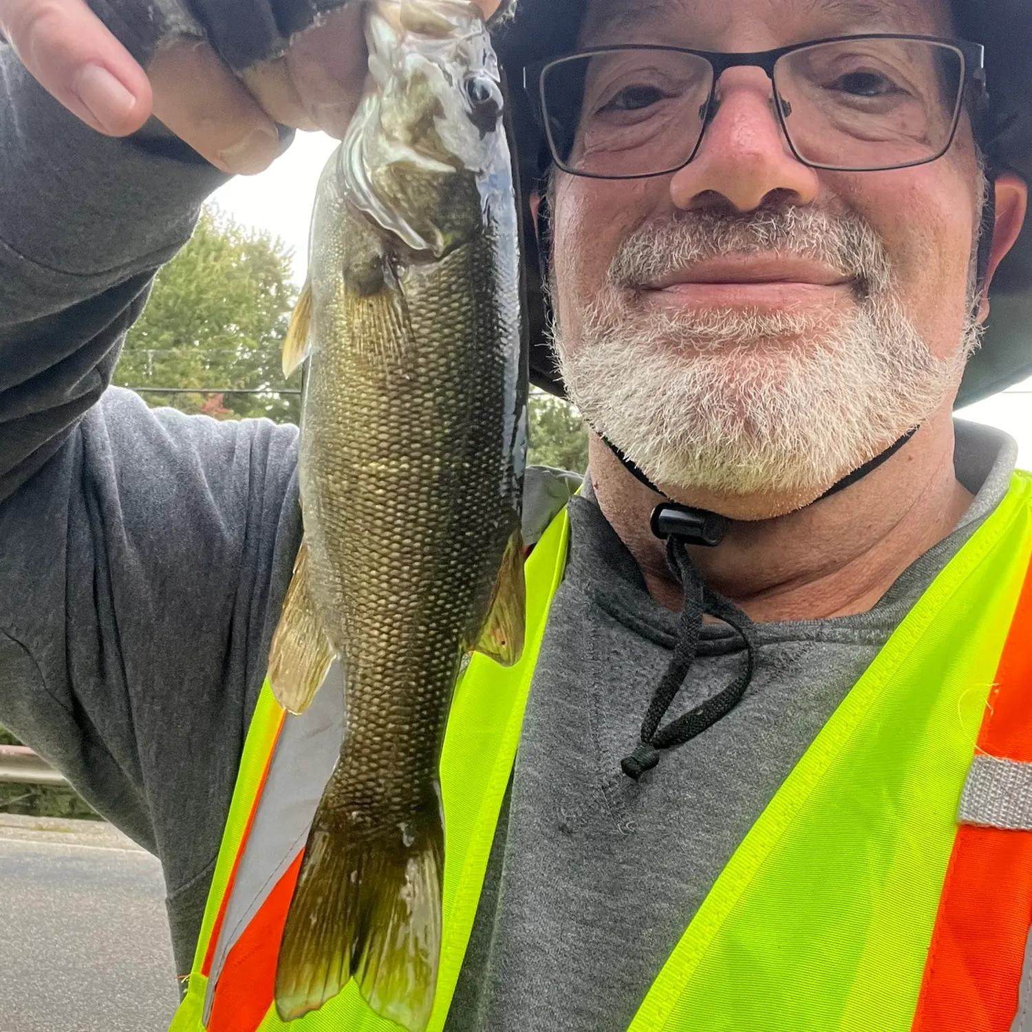 Smallmouth bass caught on Fishbrain