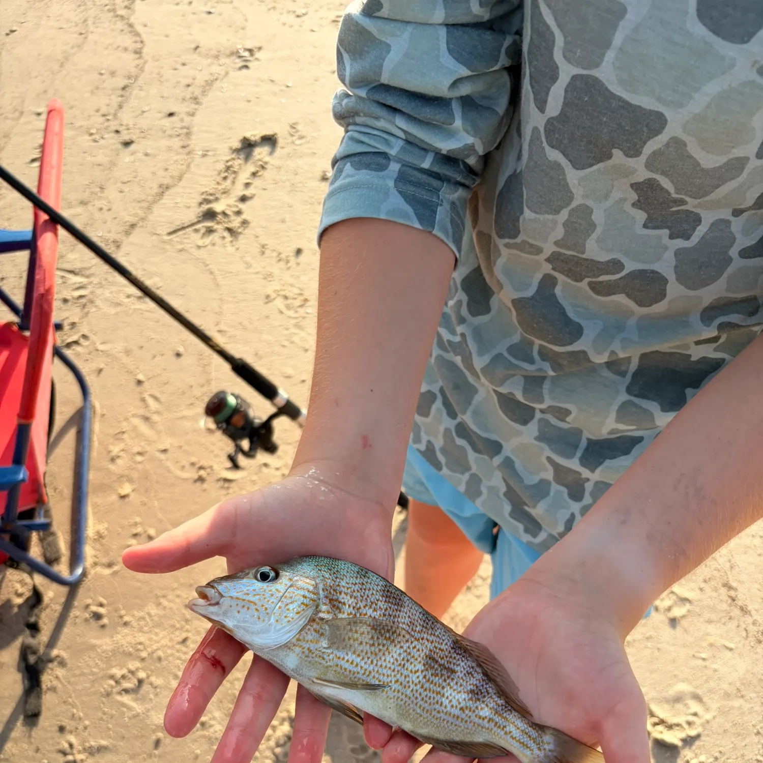 catch