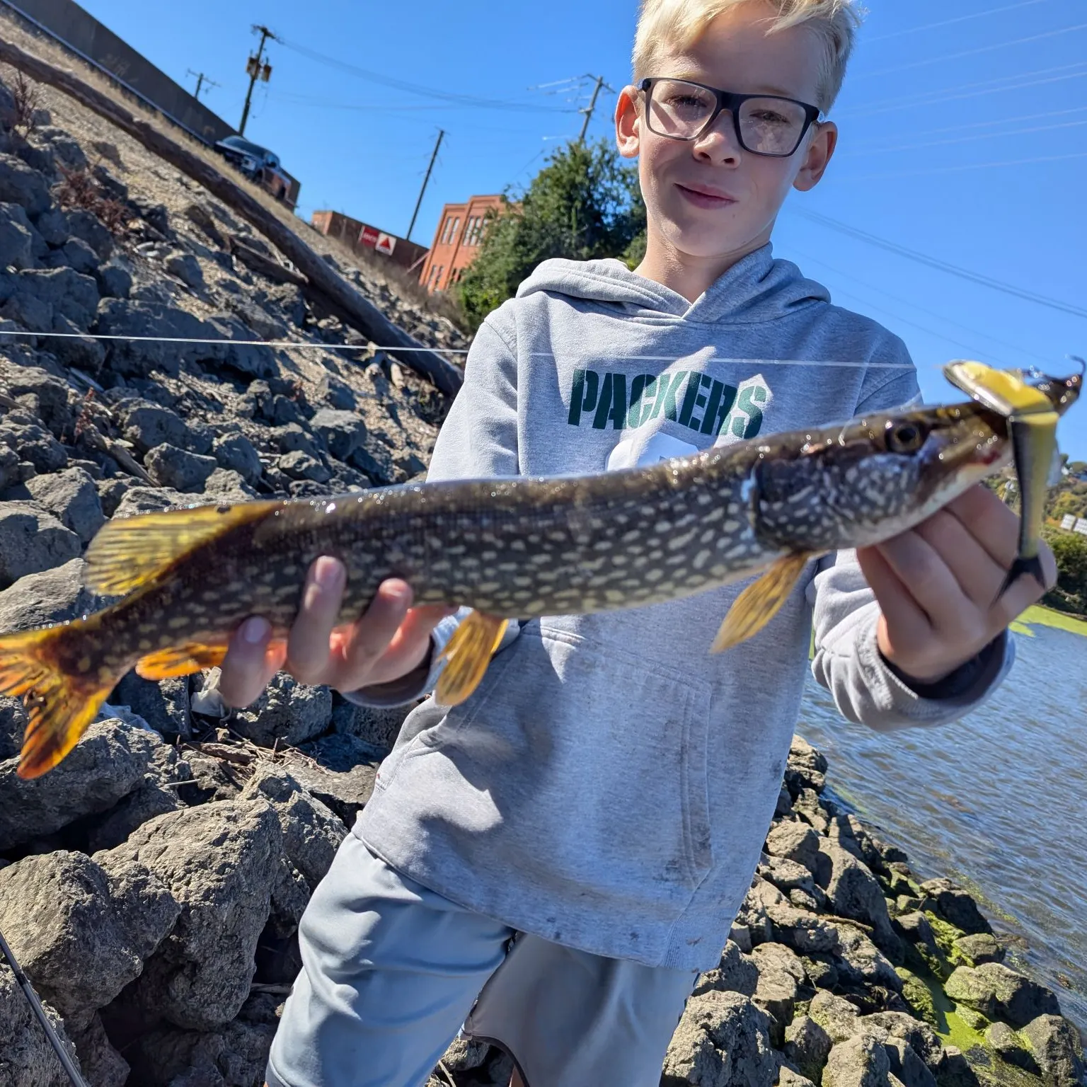 Northern pike caught on Fishbrain
