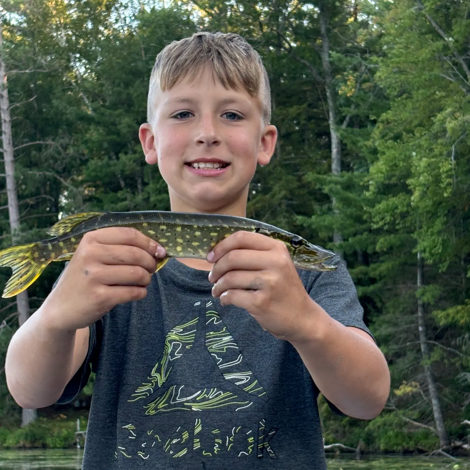 Northern pike caught on Fishbrain