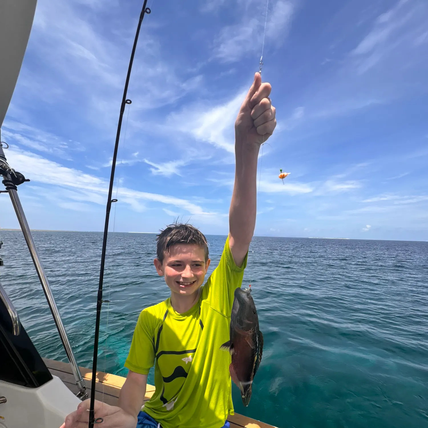 The most recent Ringtail maori wrasse catches on Fishbrain