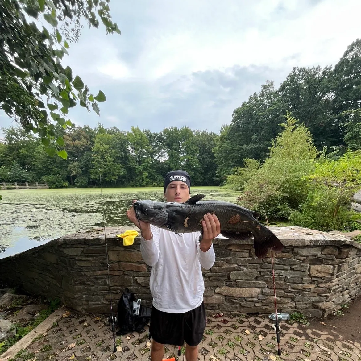 Channel catfish caught on Fishbrain