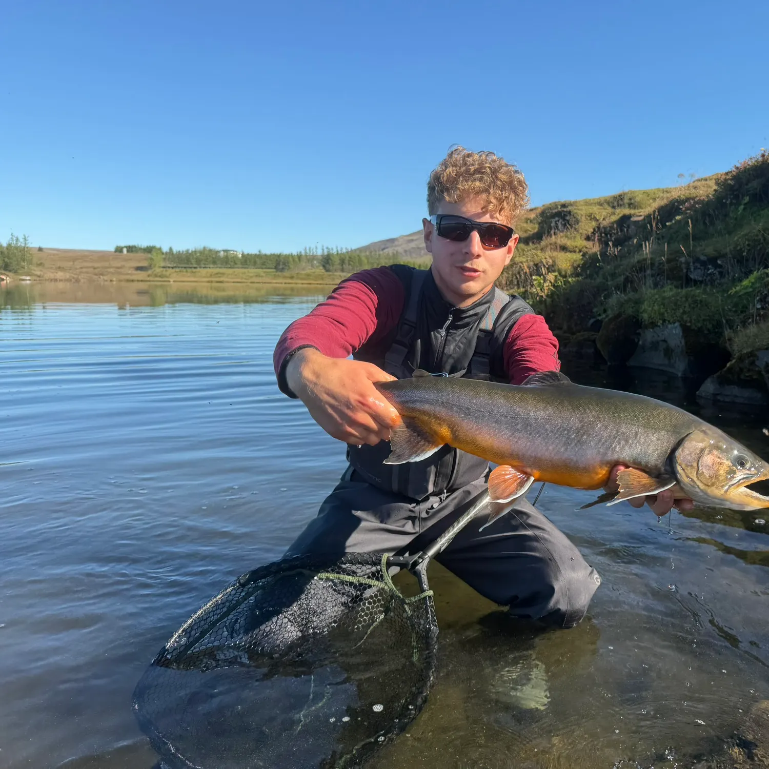 Arctic char caught on Fishbrain