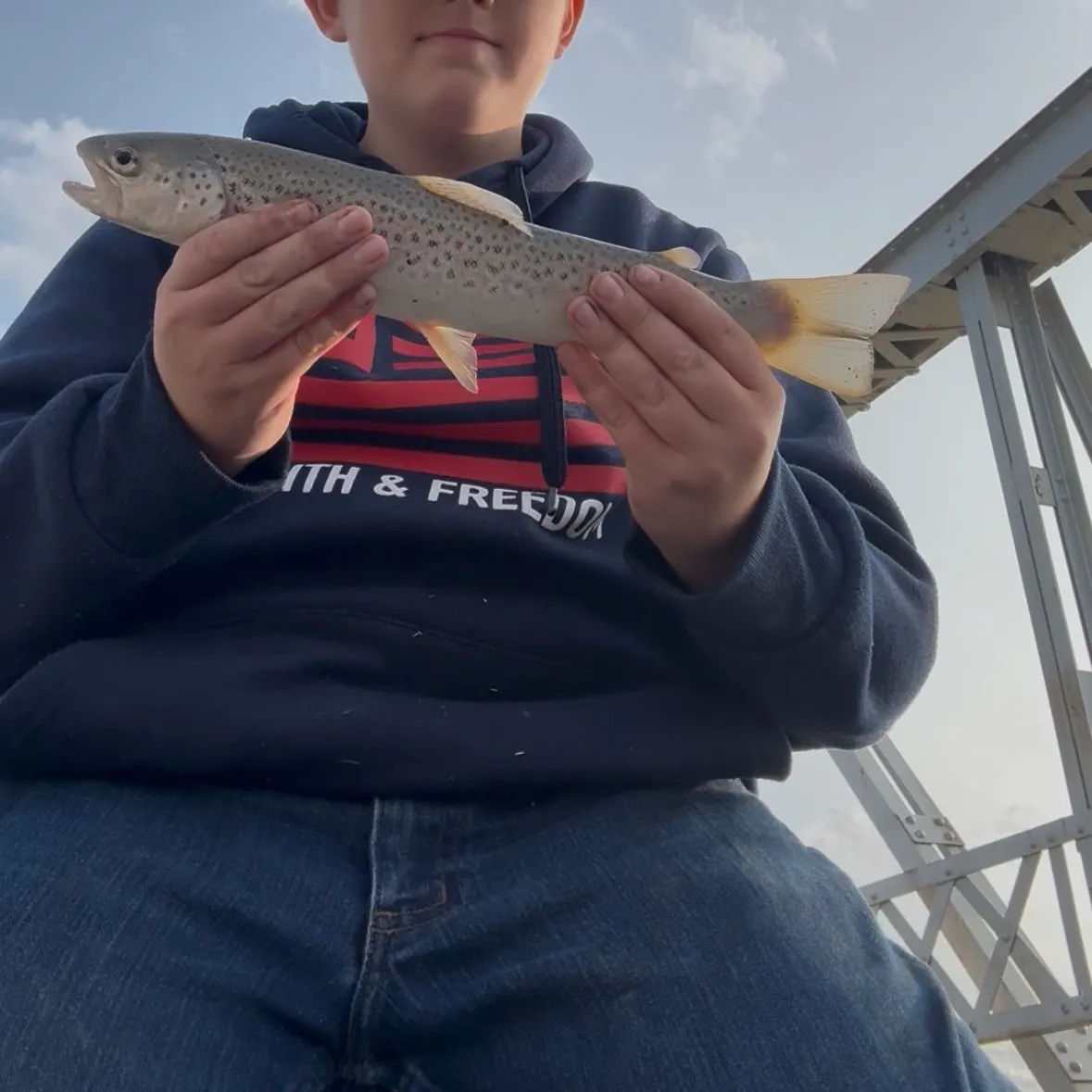 Brown trout caught on Fishbrain