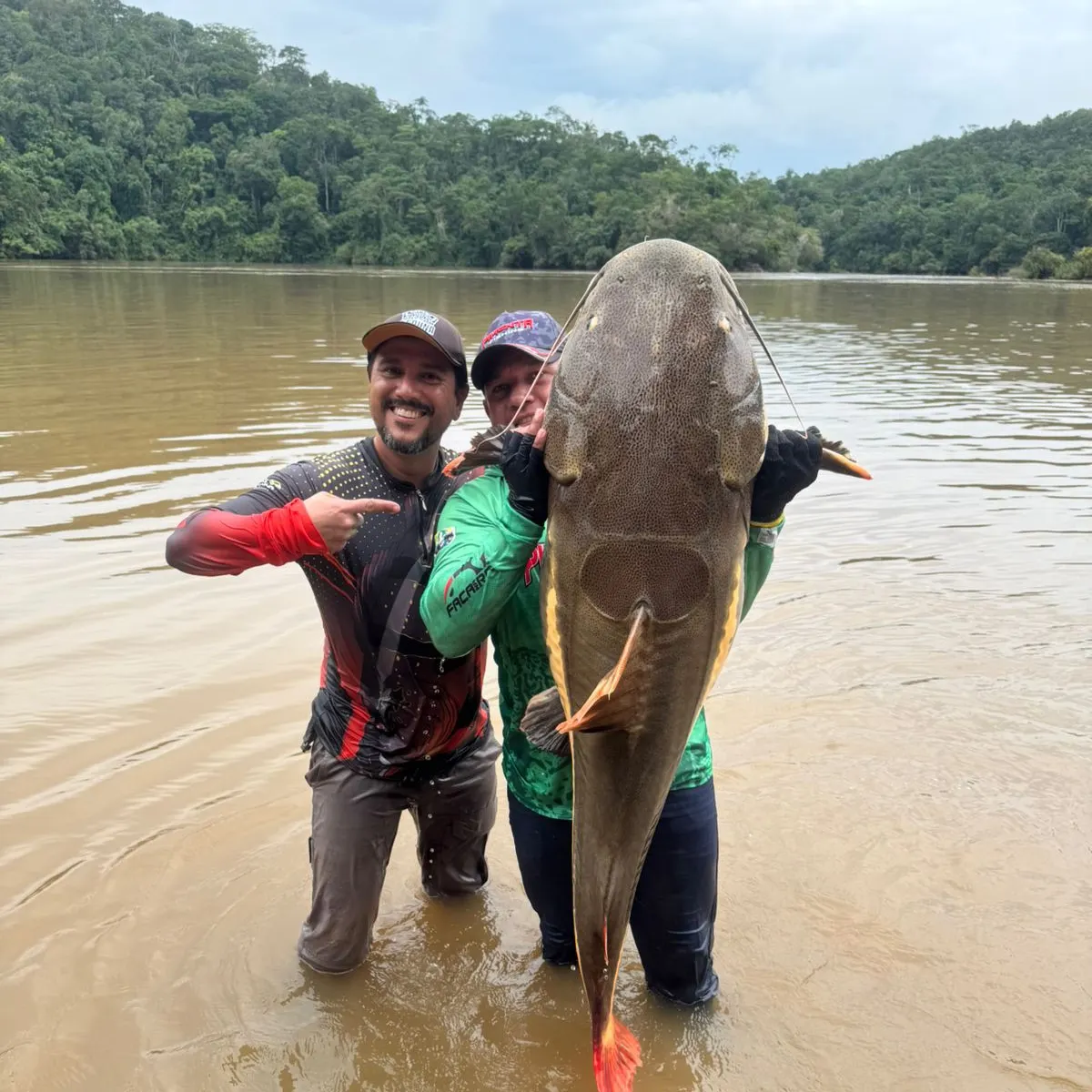 The most recent Redtail catfish catches on Fishbrain