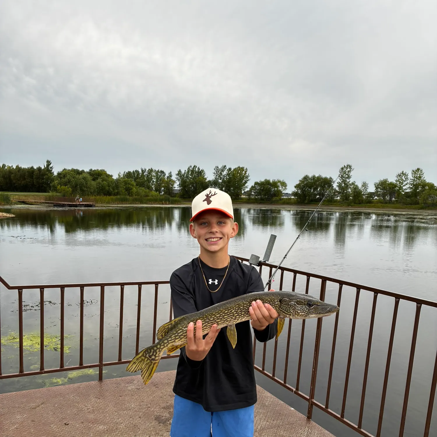 Northern pike caught on Fishbrain