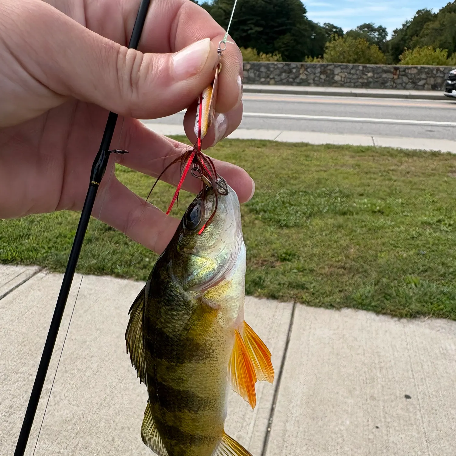 catch