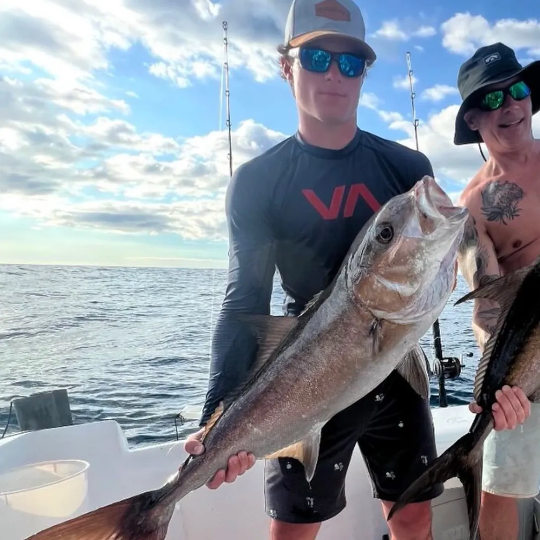Greater amberjack caught on Fishbrain