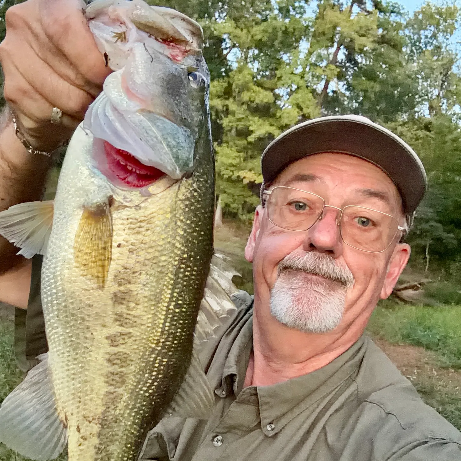 Largemouth bass caught on Fishbrain