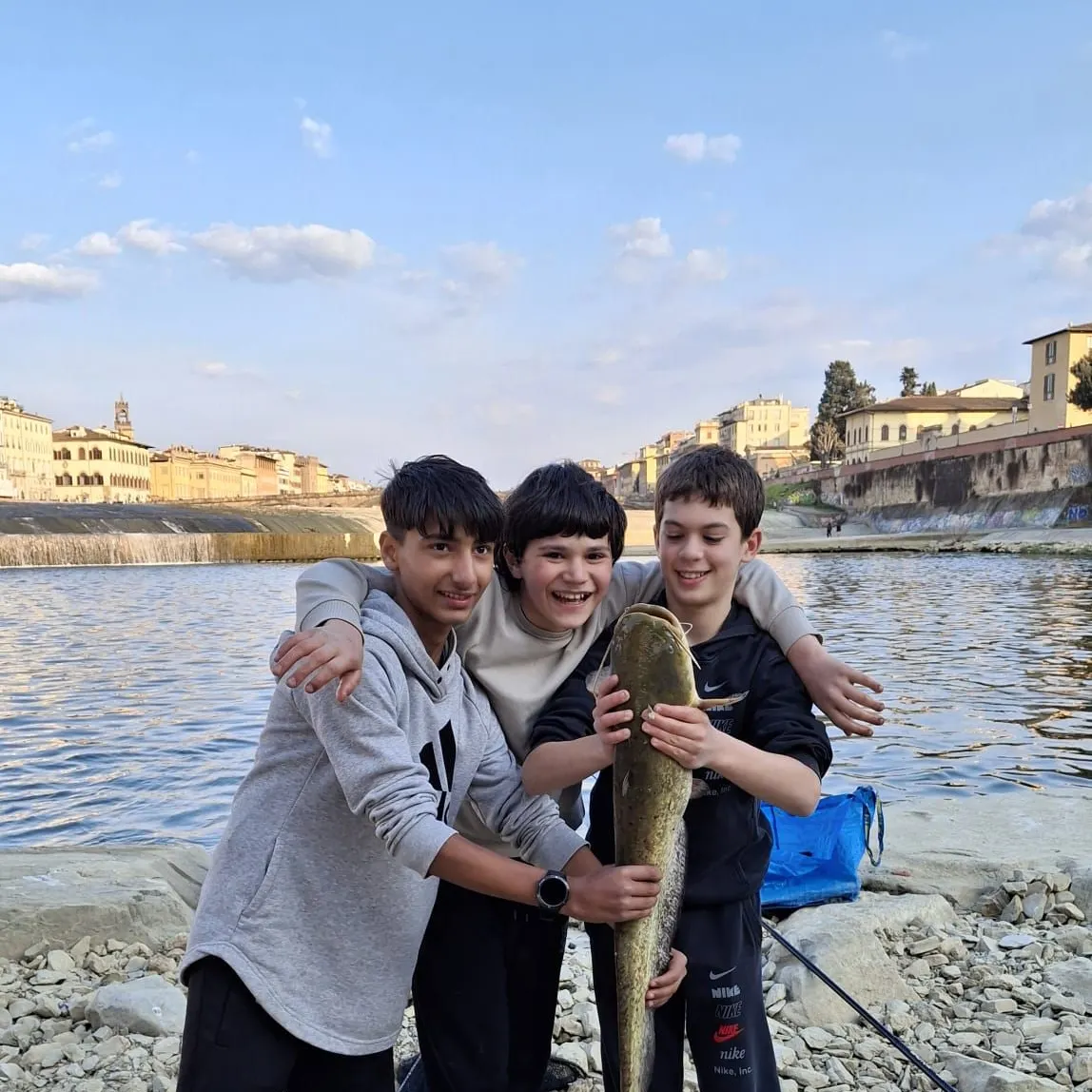 The most recent Wels catfish catches on Fishbrain