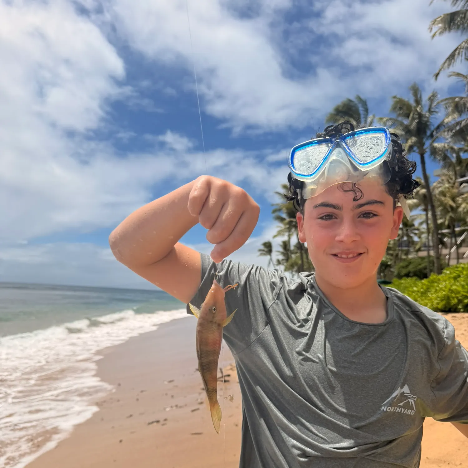 The most recent Manybar goatfish catches on Fishbrain
