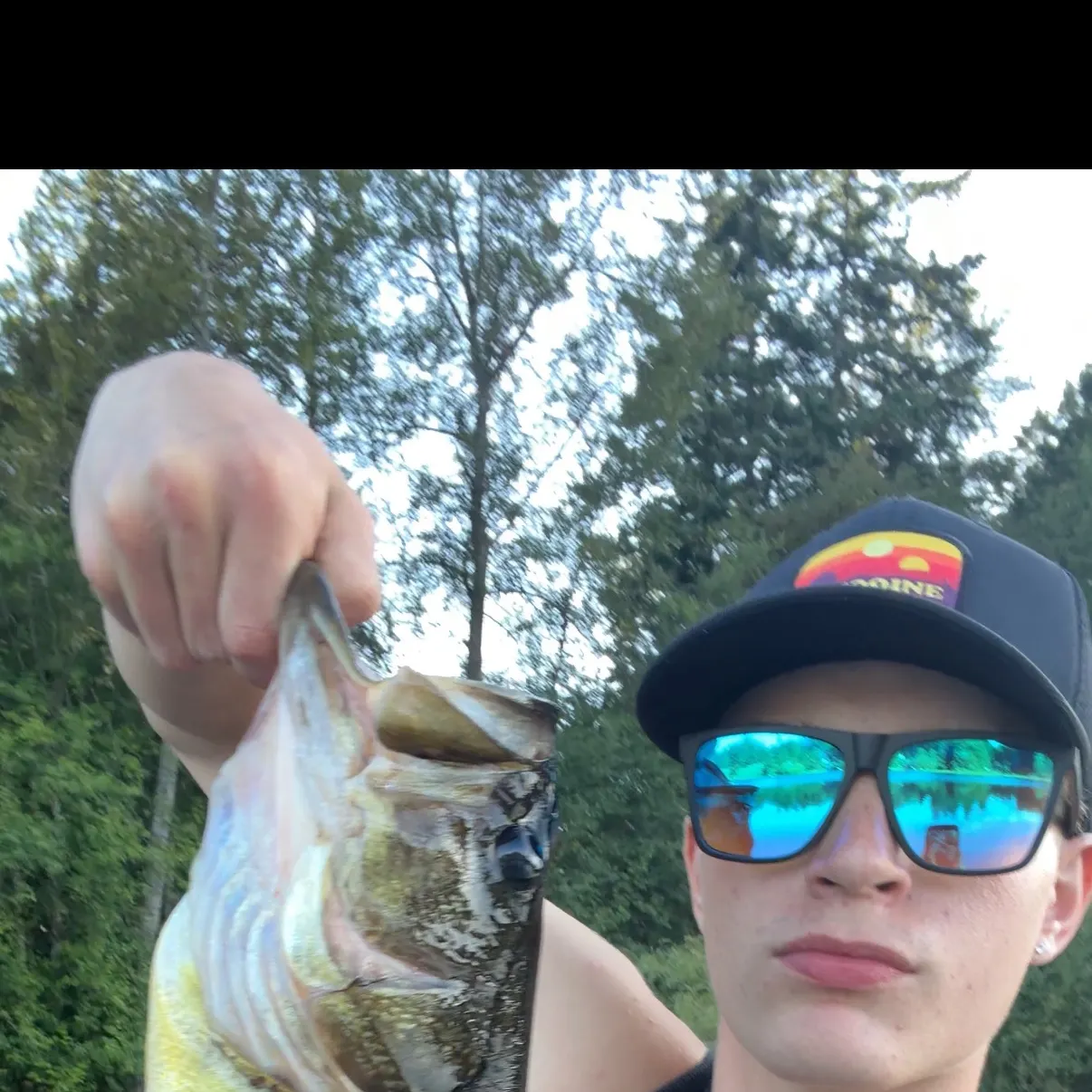 Largemouth bass caught on Fishbrain