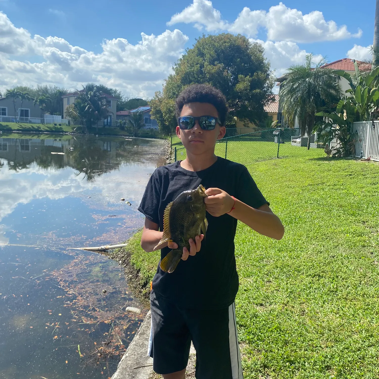 The most recent Jaguar cichlid catches on Fishbrain