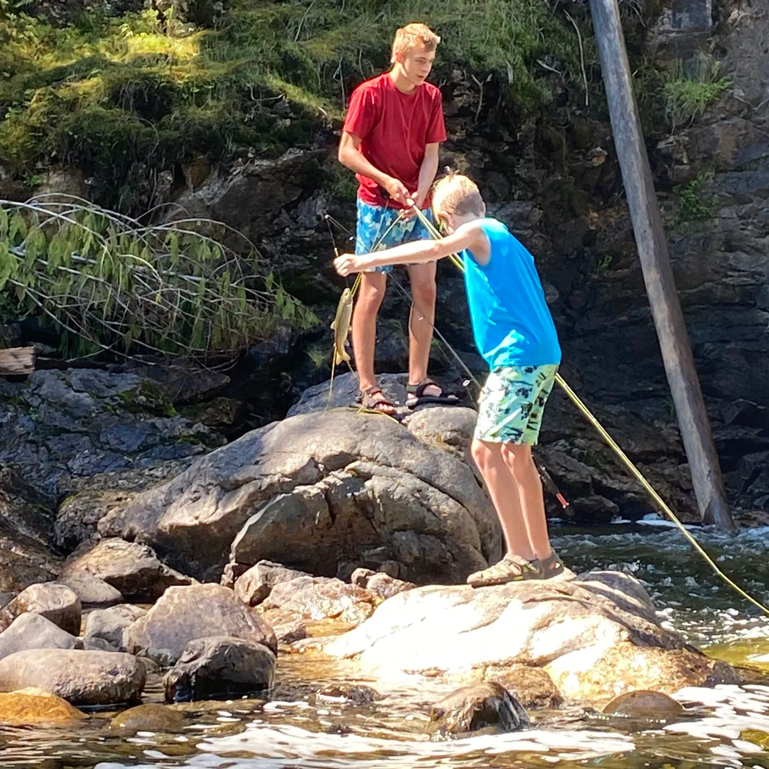 recently logged catches