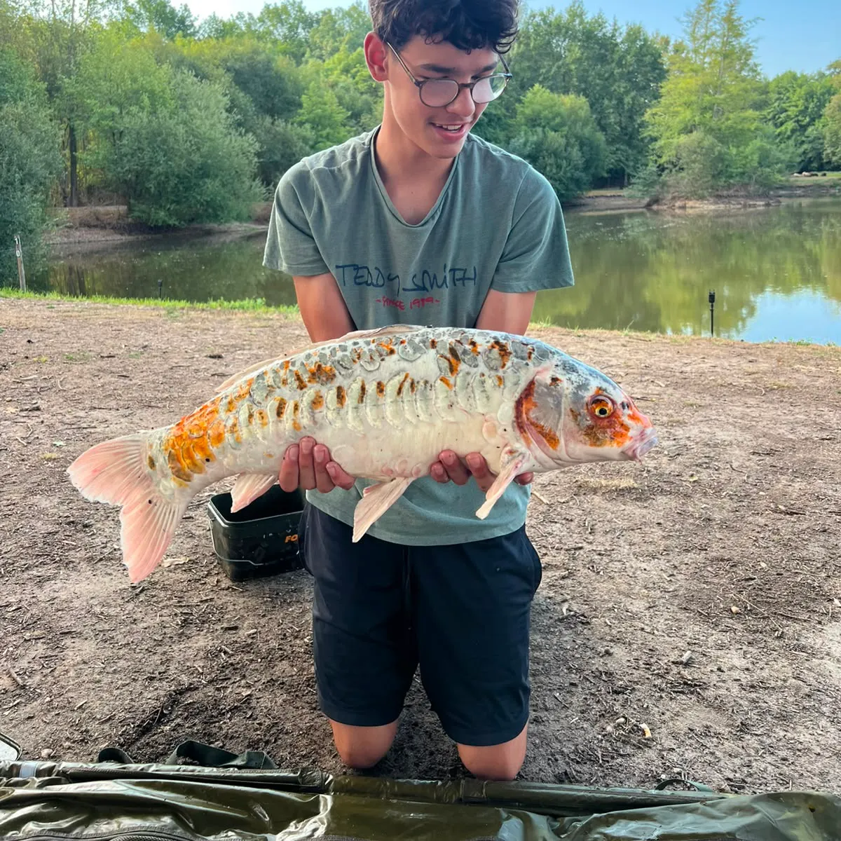Koi carp caught on Fishbrain