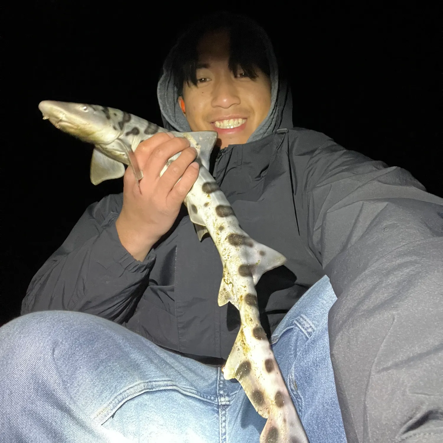 The most recent Leopard shark catches on Fishbrain