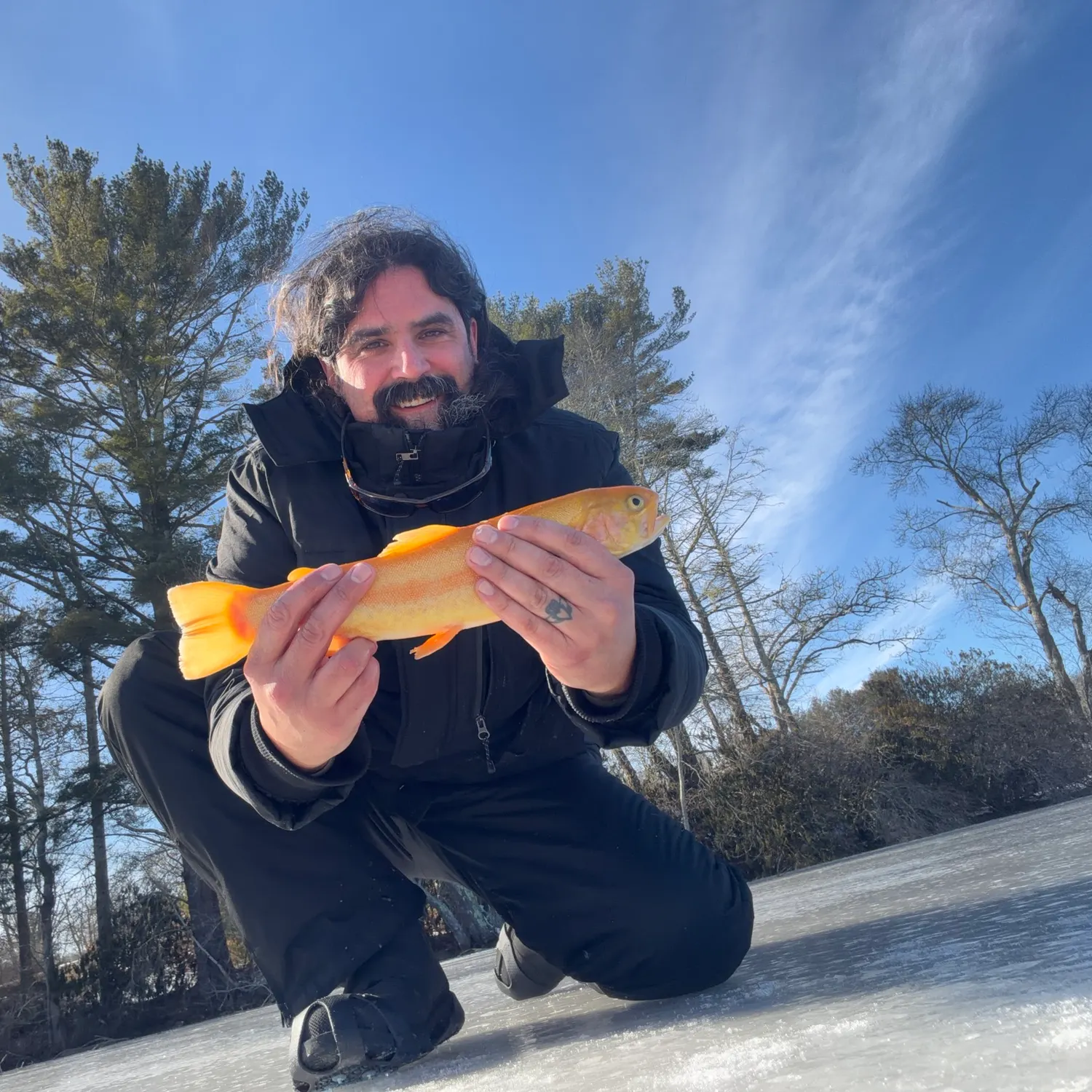 The most recent Golden trout catches on Fishbrain