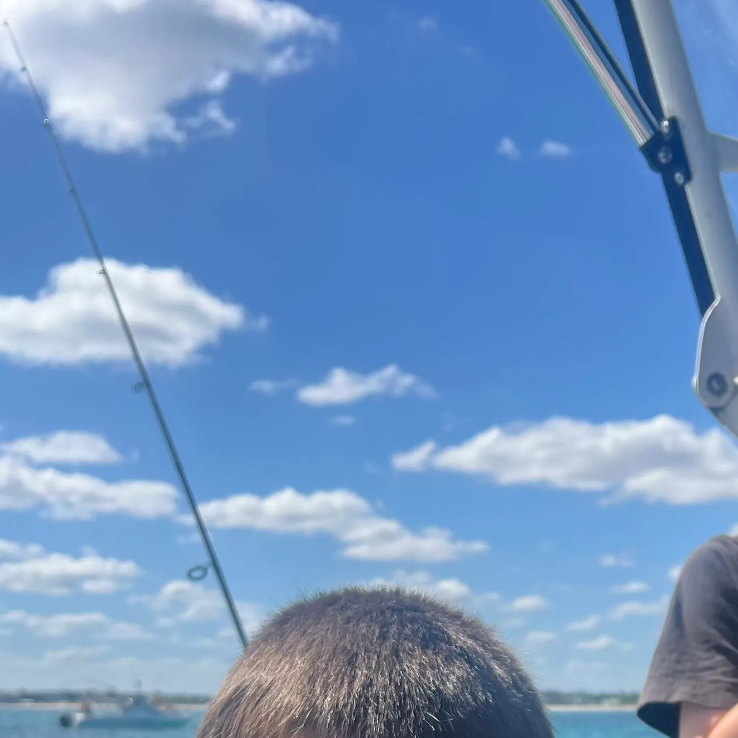 The most recent Atlantic herring catches on Fishbrain