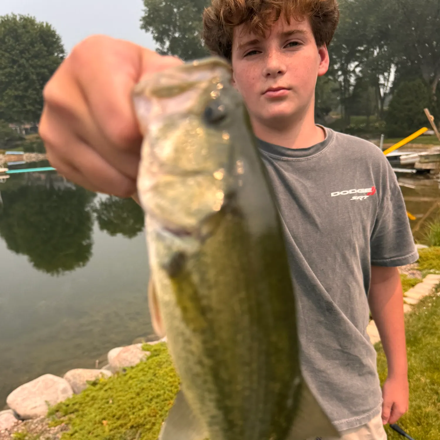 Largemouth bass caught on Fishbrain
