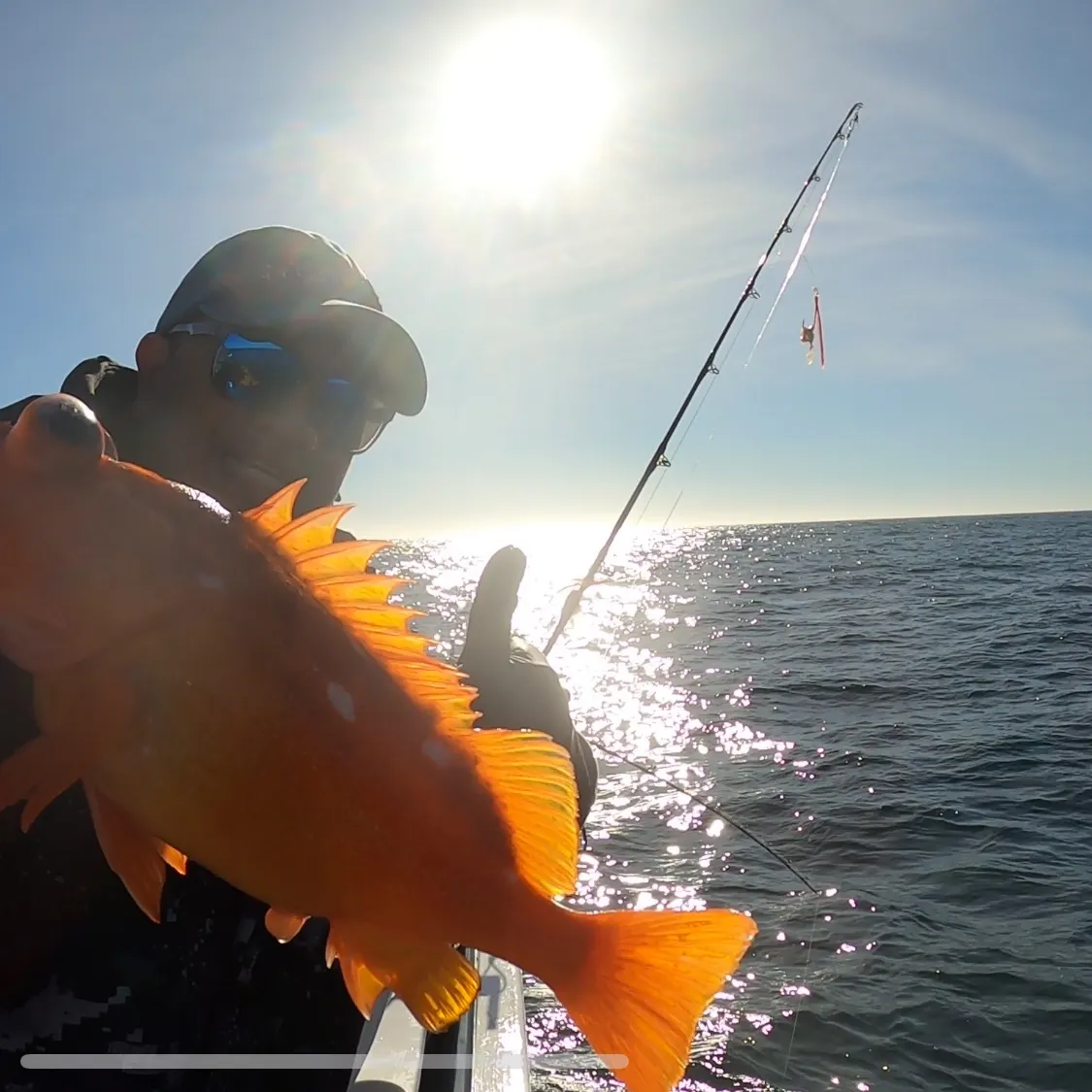 The most recent Canary rockfish catches on Fishbrain