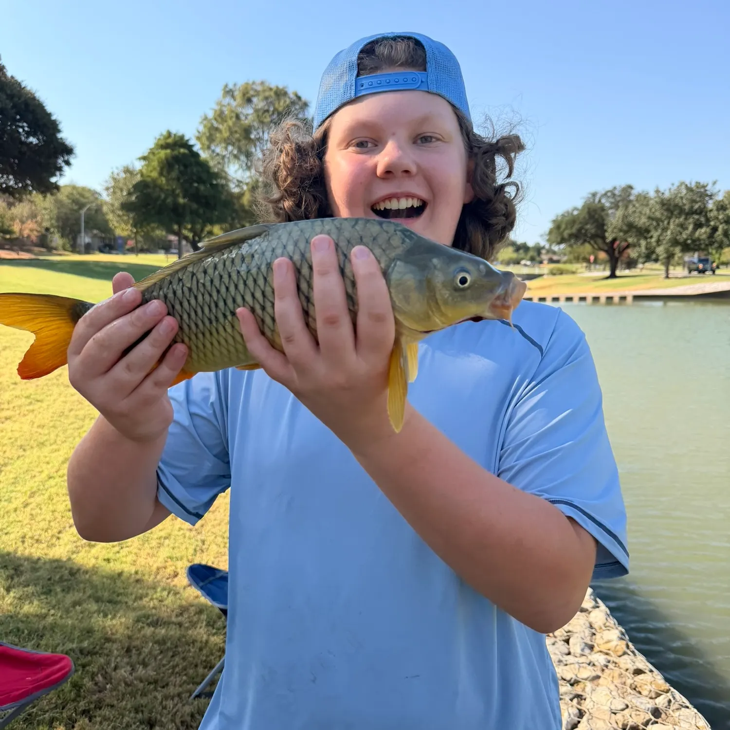 Common carp caught on Fishbrain