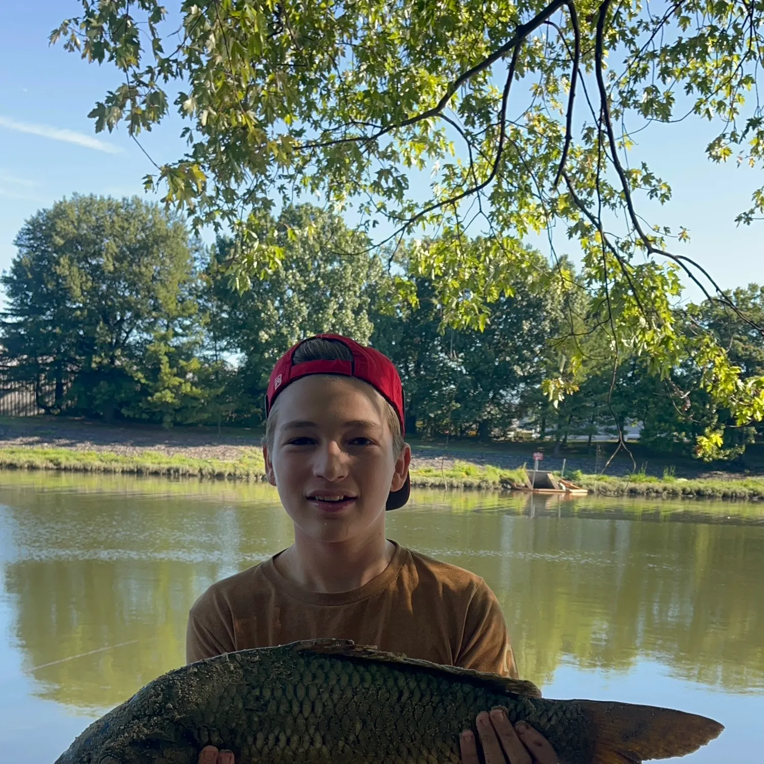 Common carp caught on Fishbrain
