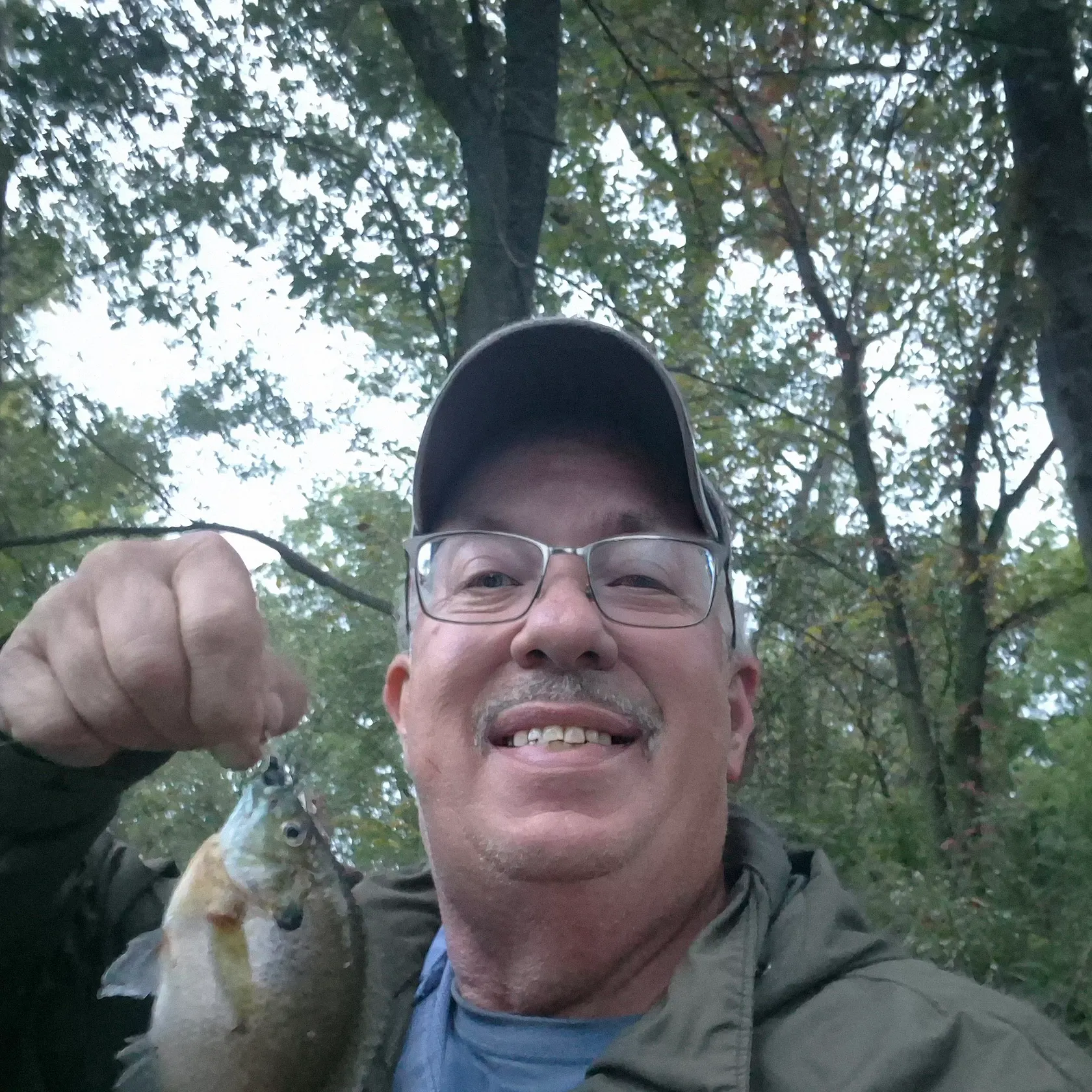 Bluegill caught on Fishbrain