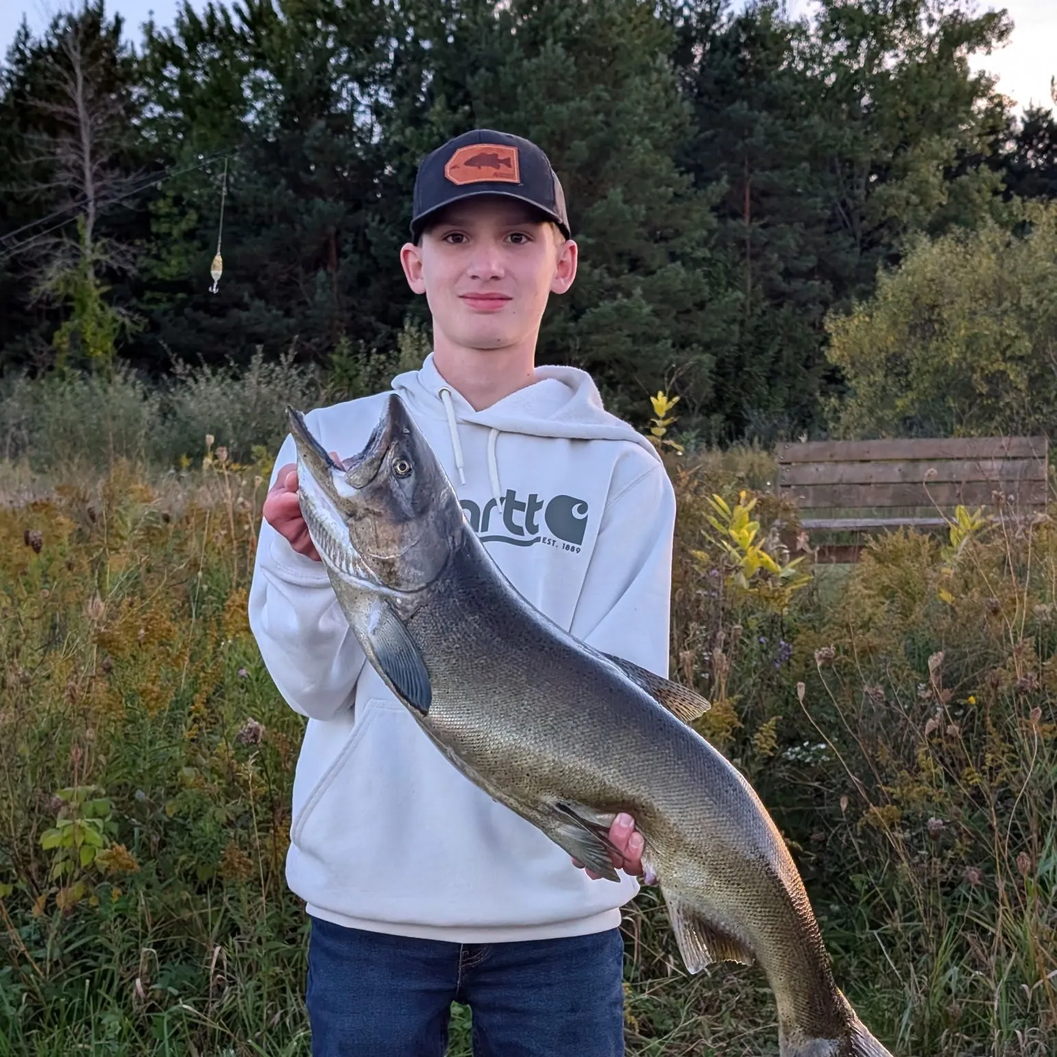 Chinook salmon caught on Fishbrain