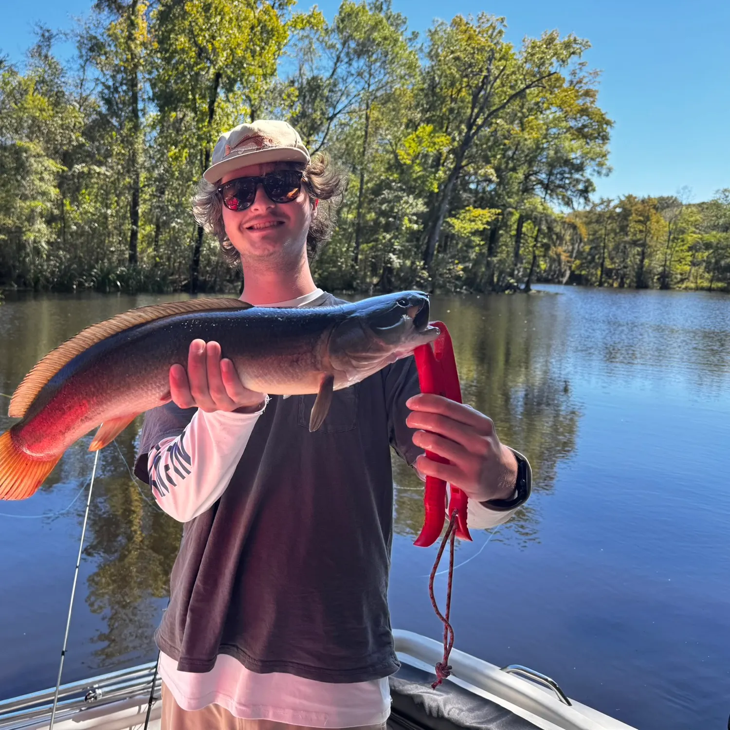 Ruddy bowfin caught on Fishbrain