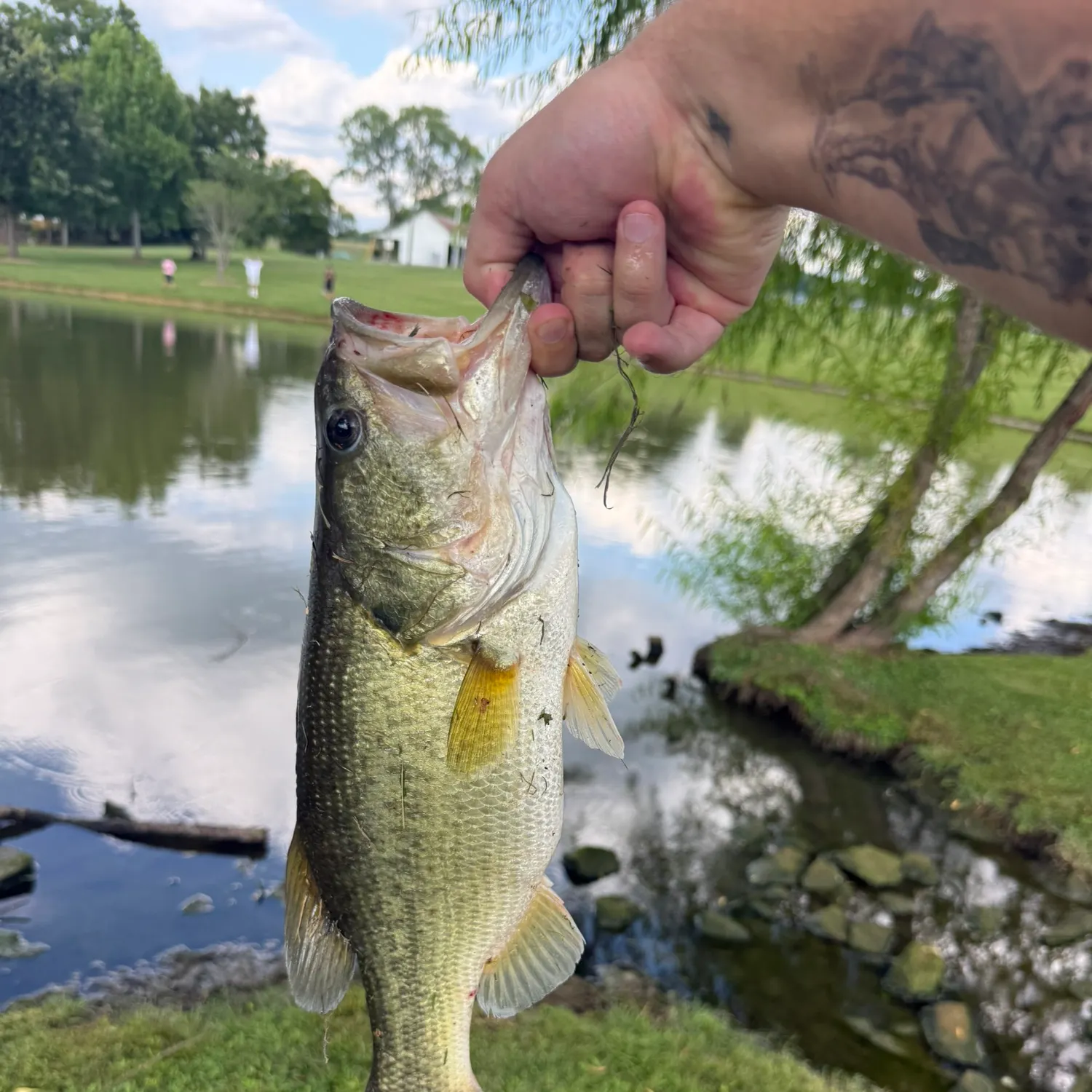 catch