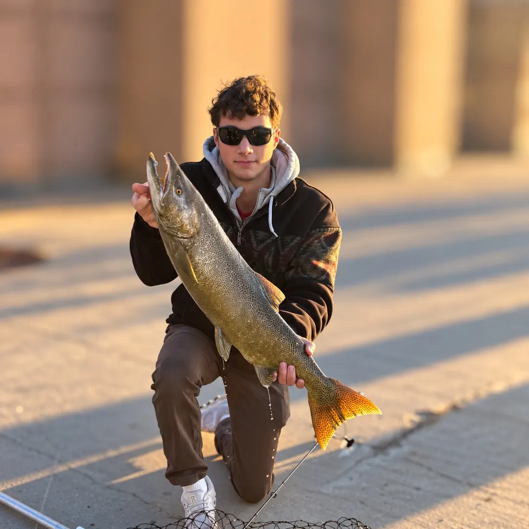 Fish caught on Fishbrain