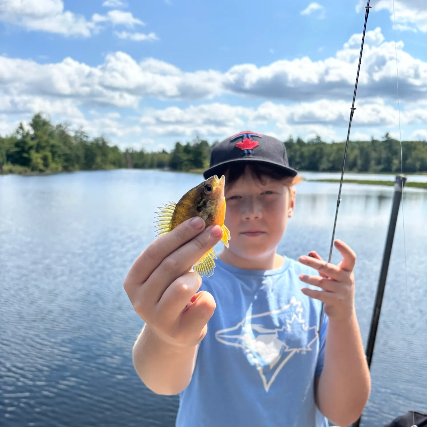 Pumpkingill hybrid caught on Fishbrain