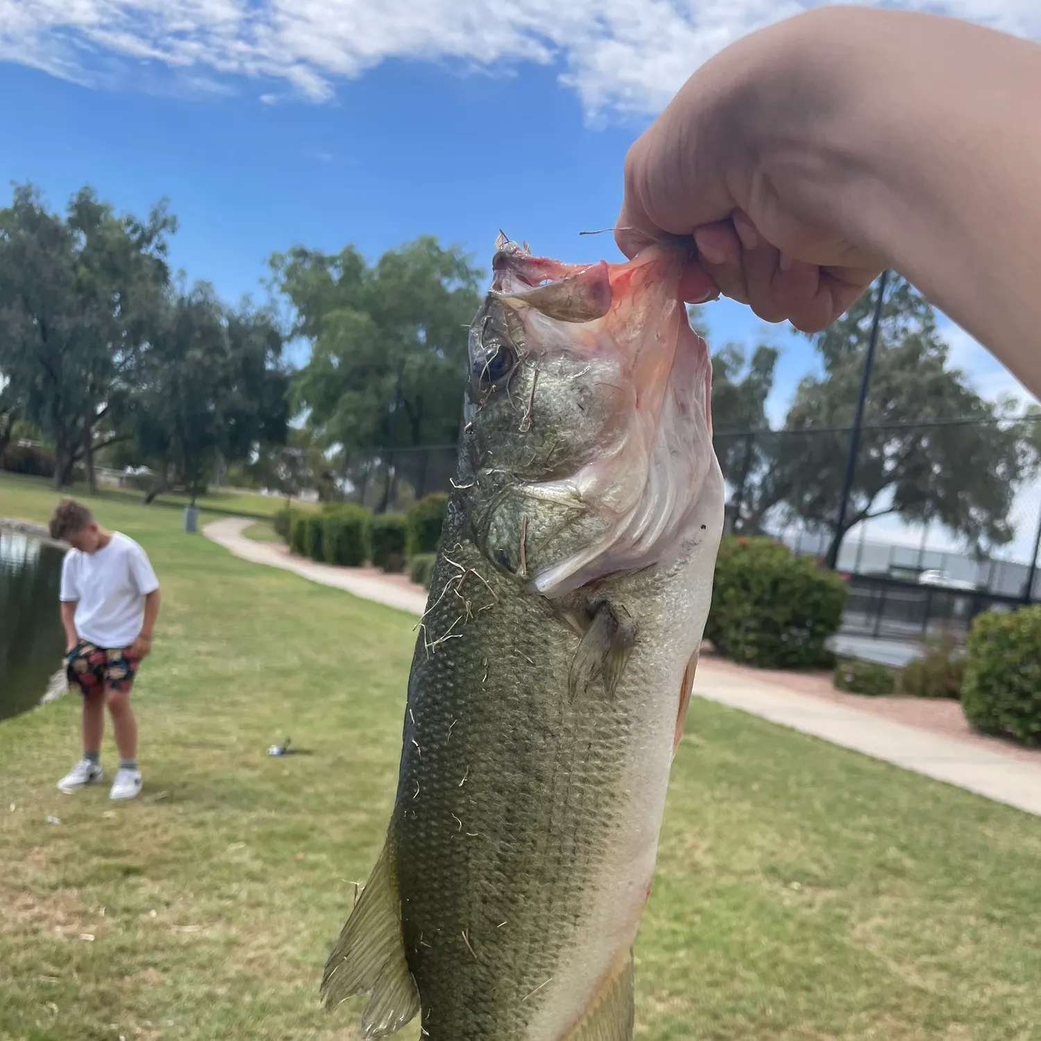 catch