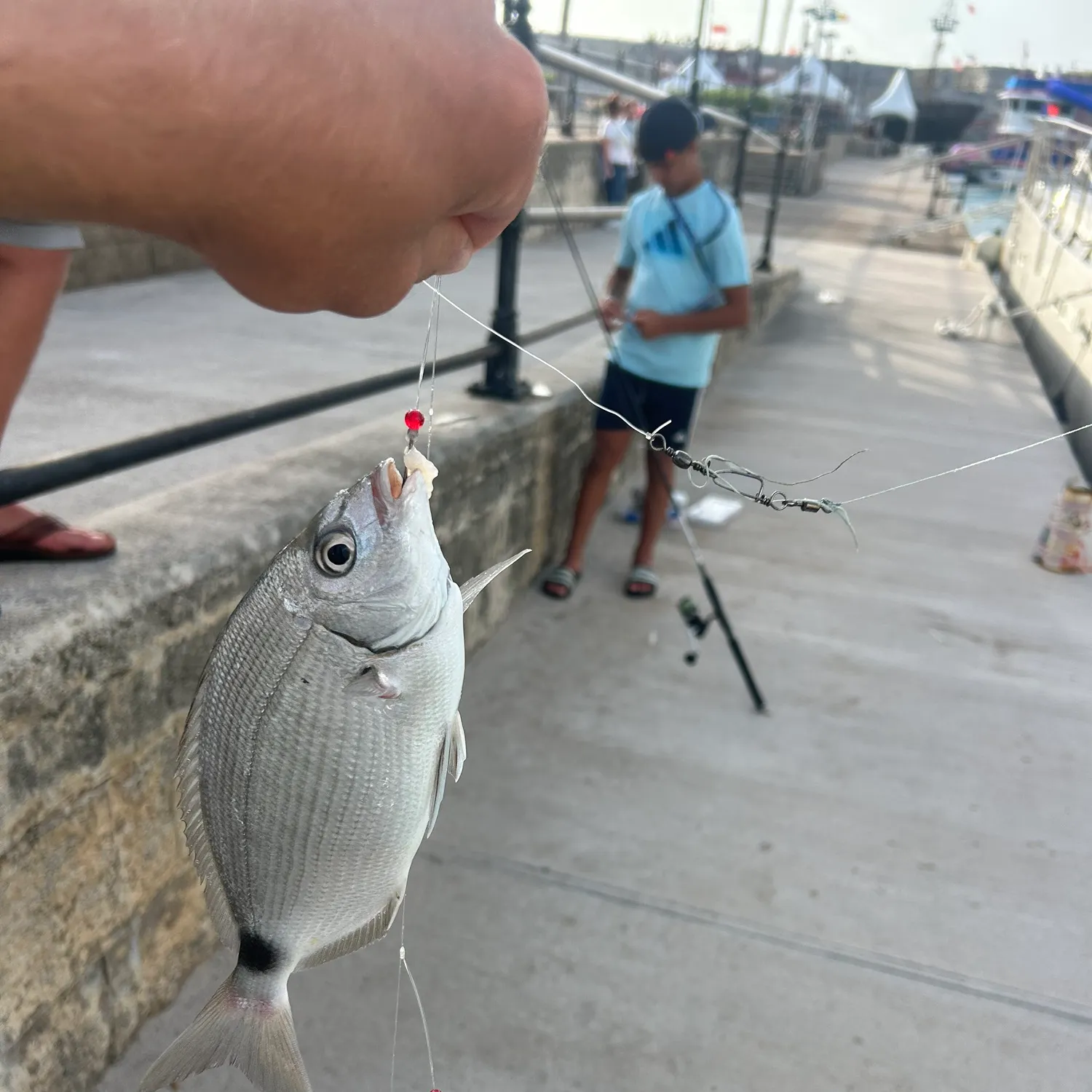 catch