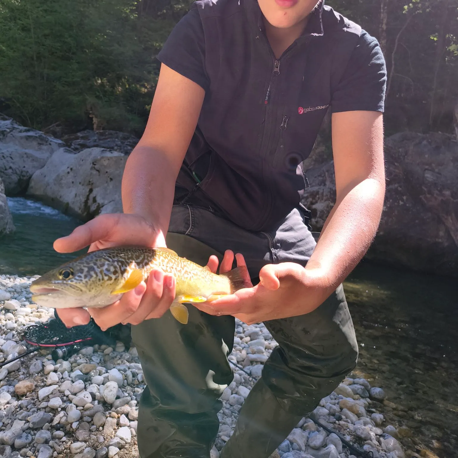 Tiger trout caught on Fishbrain