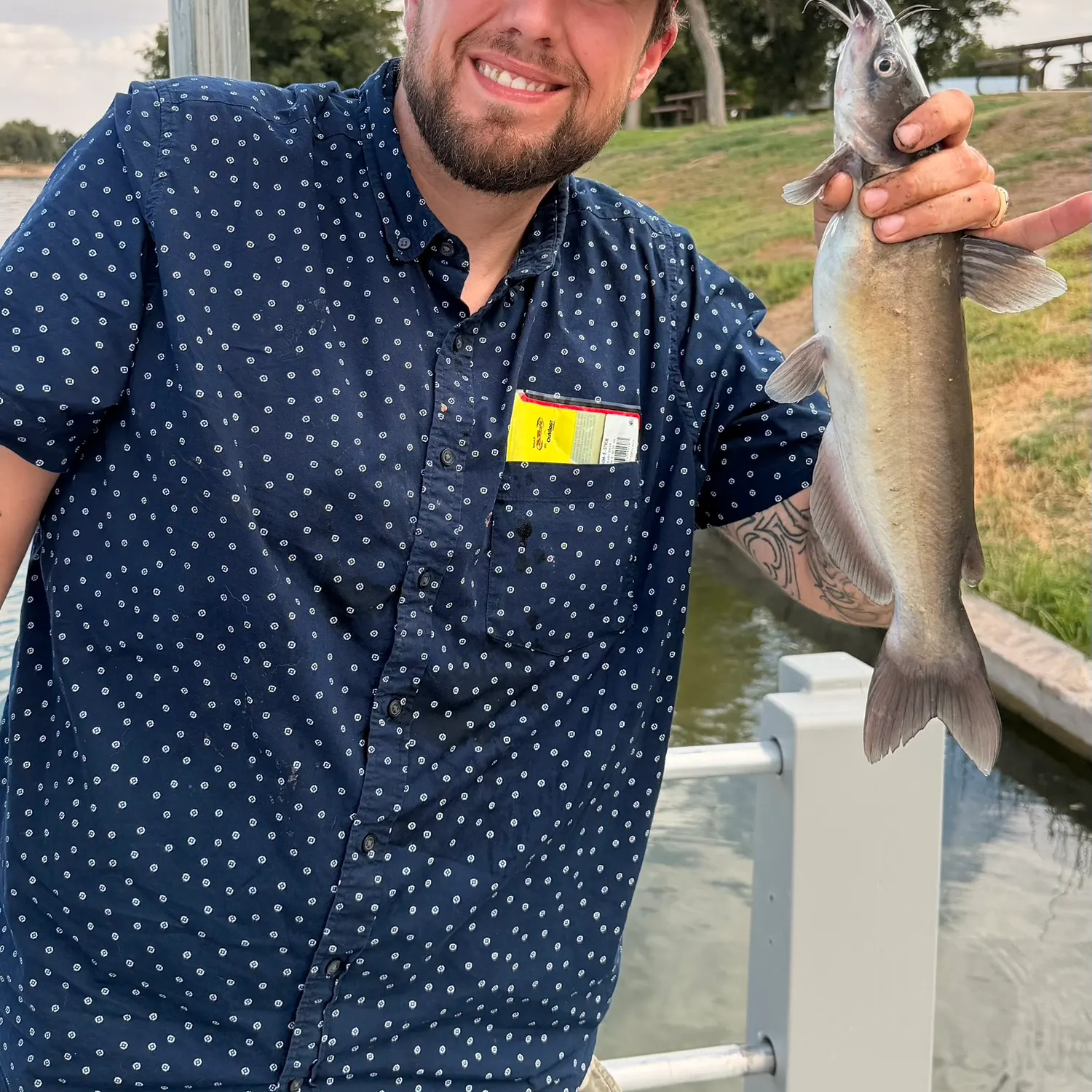 Channel catfish caught on Fishbrain