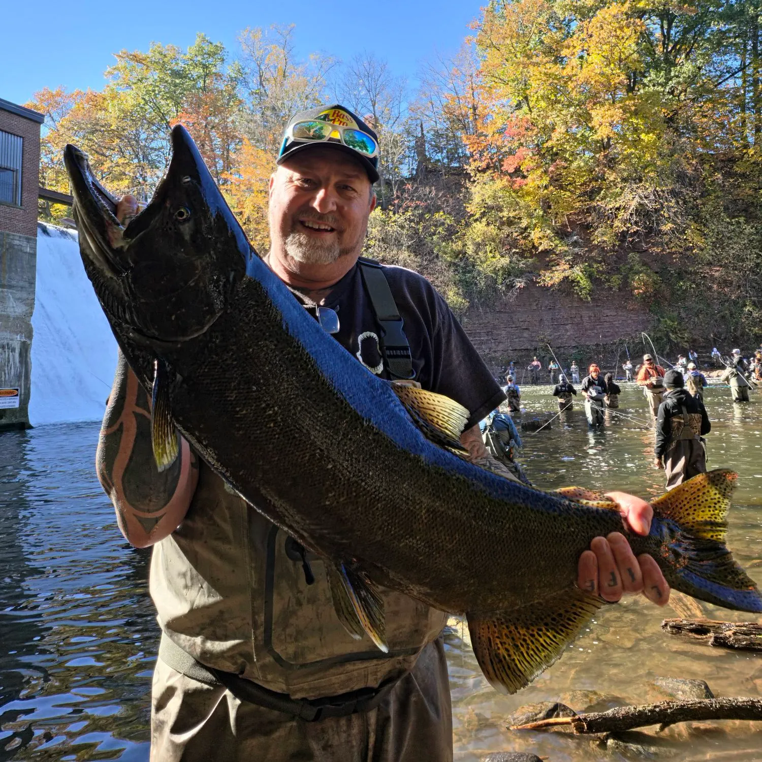 Chinook salmon caught on Fishbrain