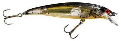 Long A Hard Bait