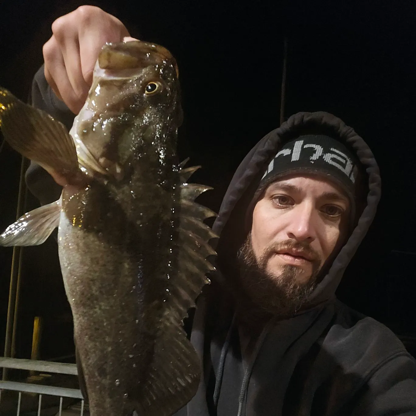 The most recent Grass rockfish catches on Fishbrain