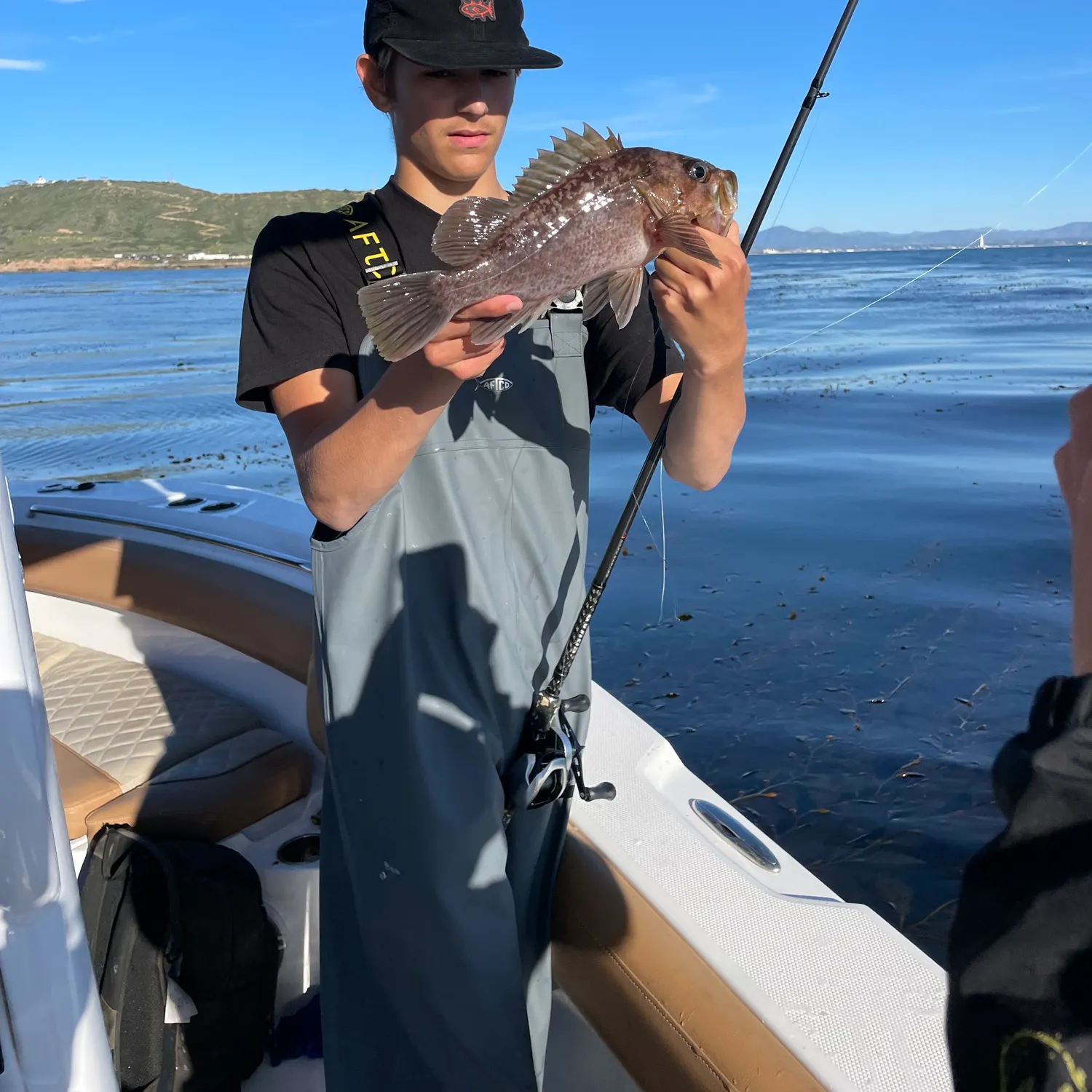 The most recent Brown rockfish catches on Fishbrain