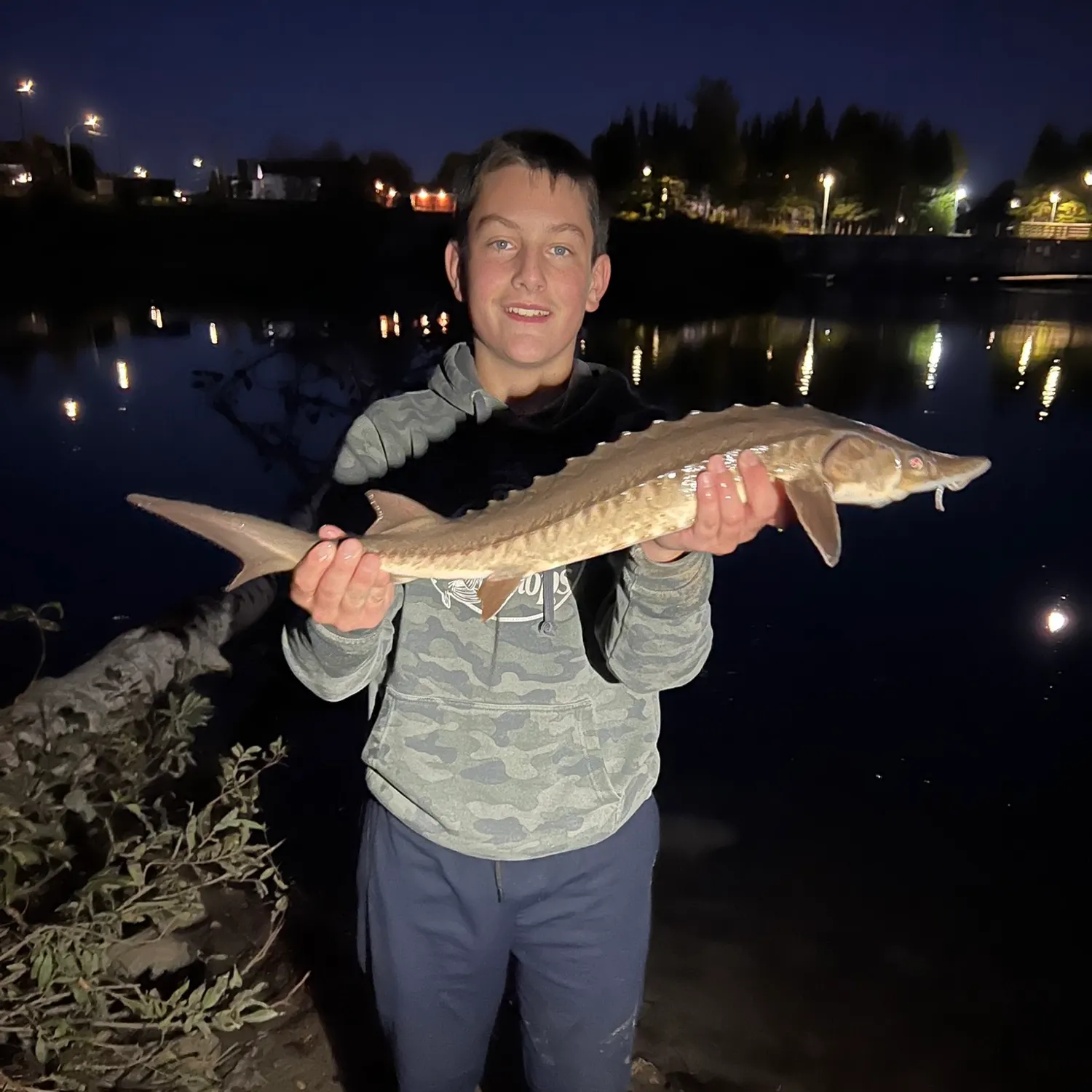 Lake sturgeon caught on Fishbrain