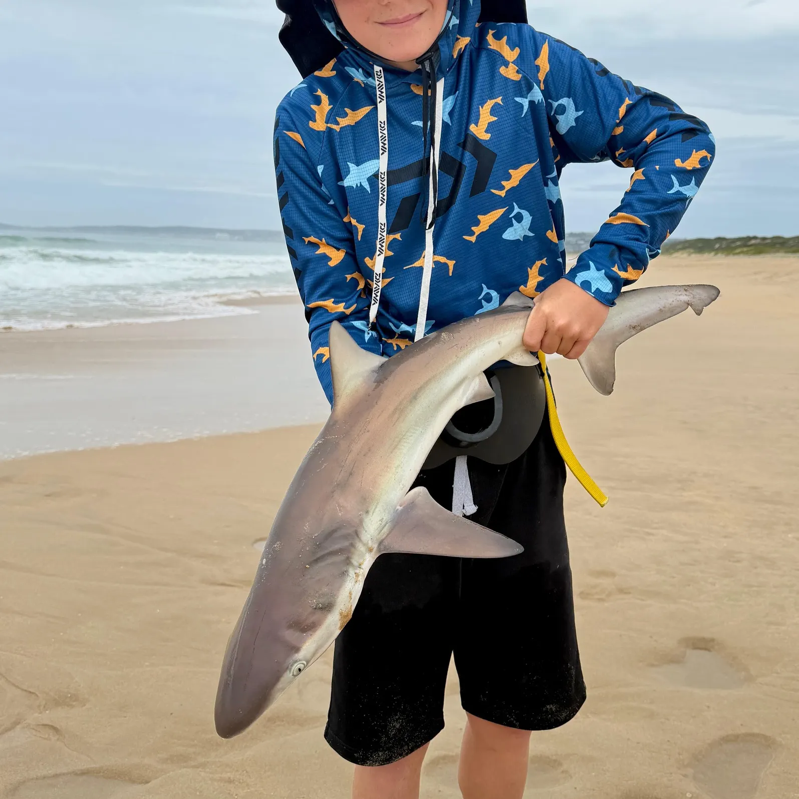 The most recent Copper shark catches on Fishbrain