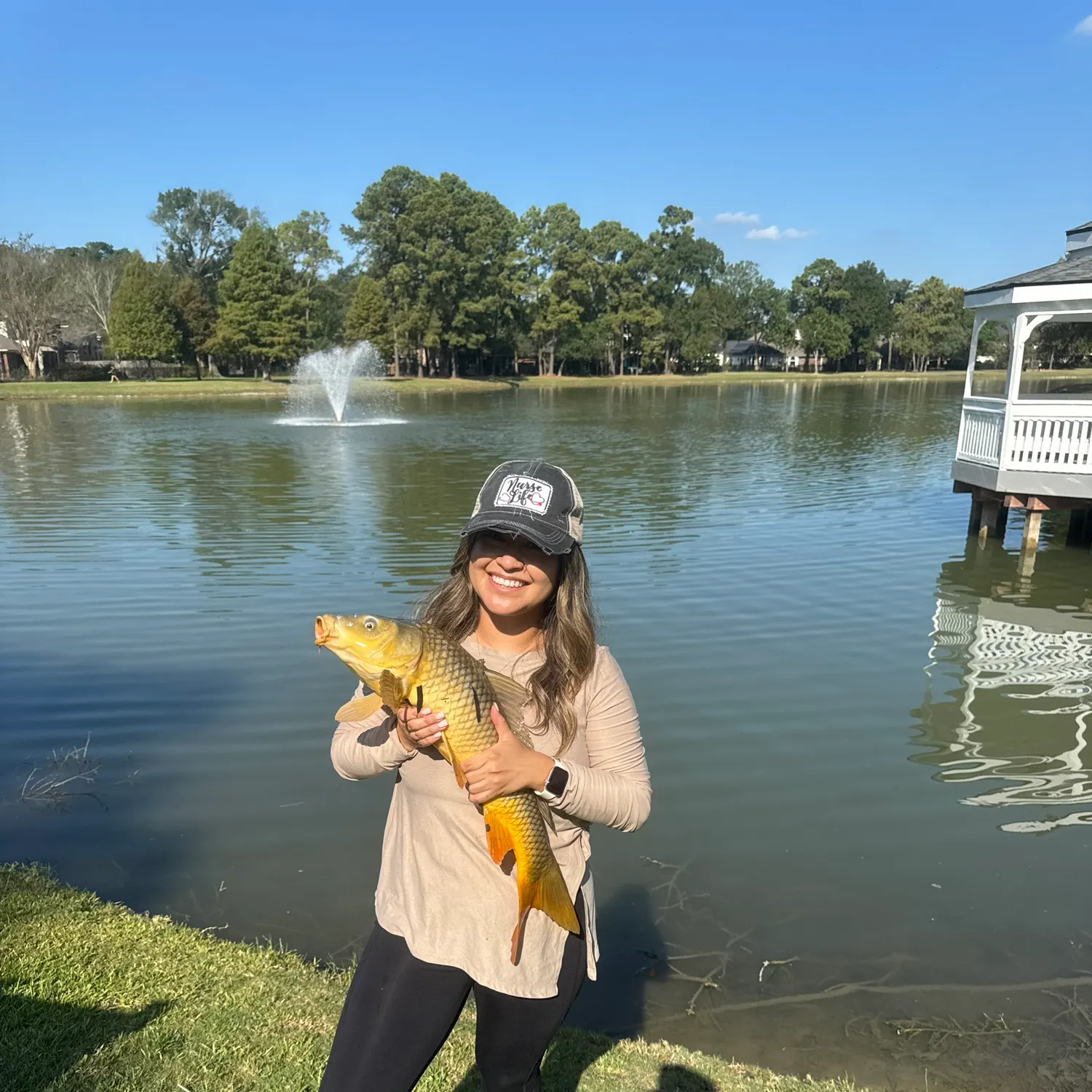 Common carp caught on Fishbrain