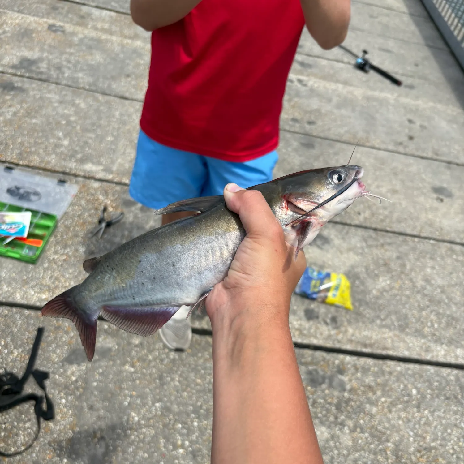 catch