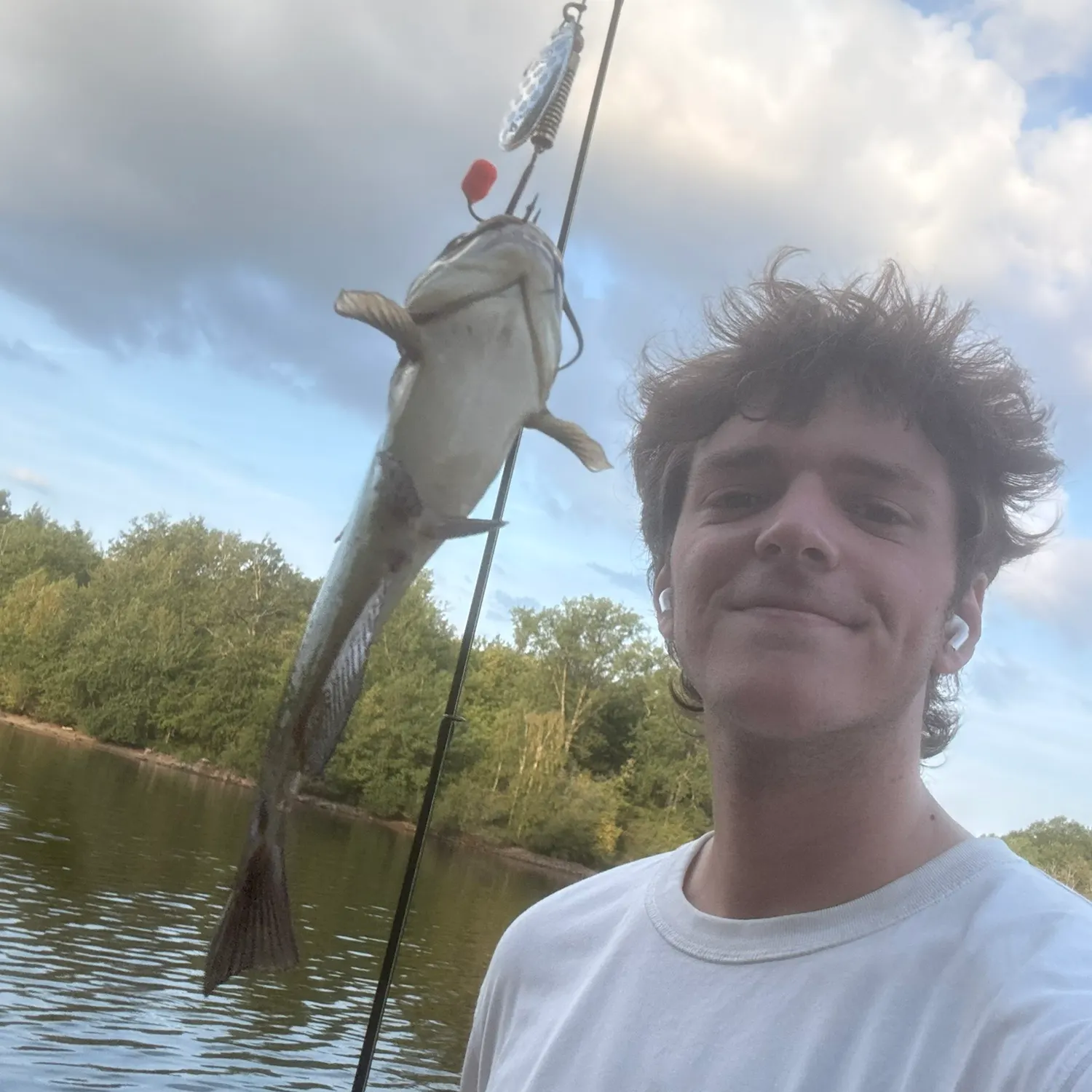 European perch caught on Fishbrain