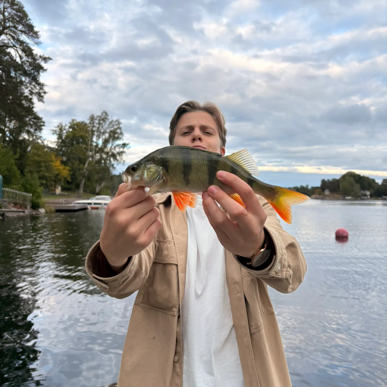 European perch caught on Fishbrain