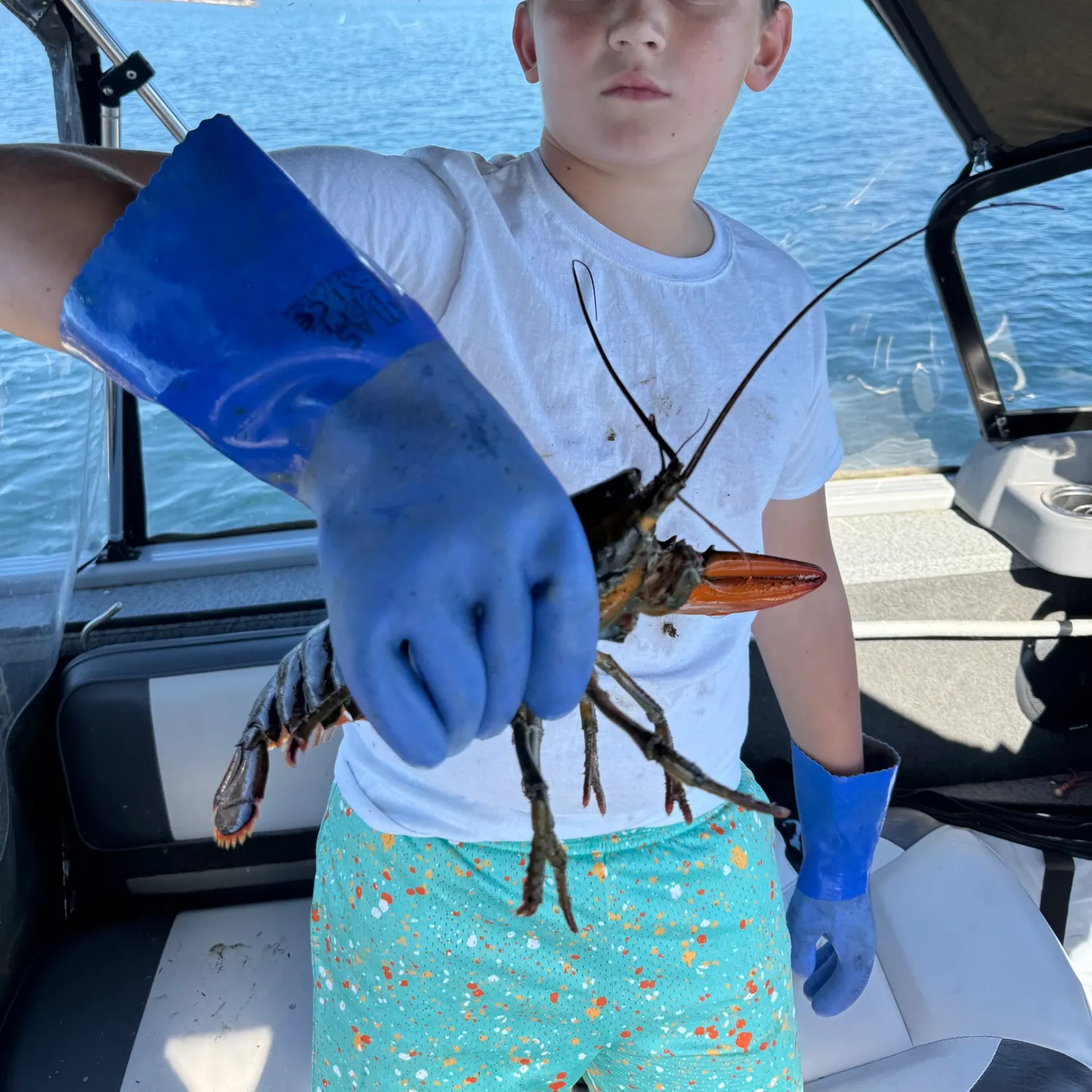 American lobster caught on Fishbrain