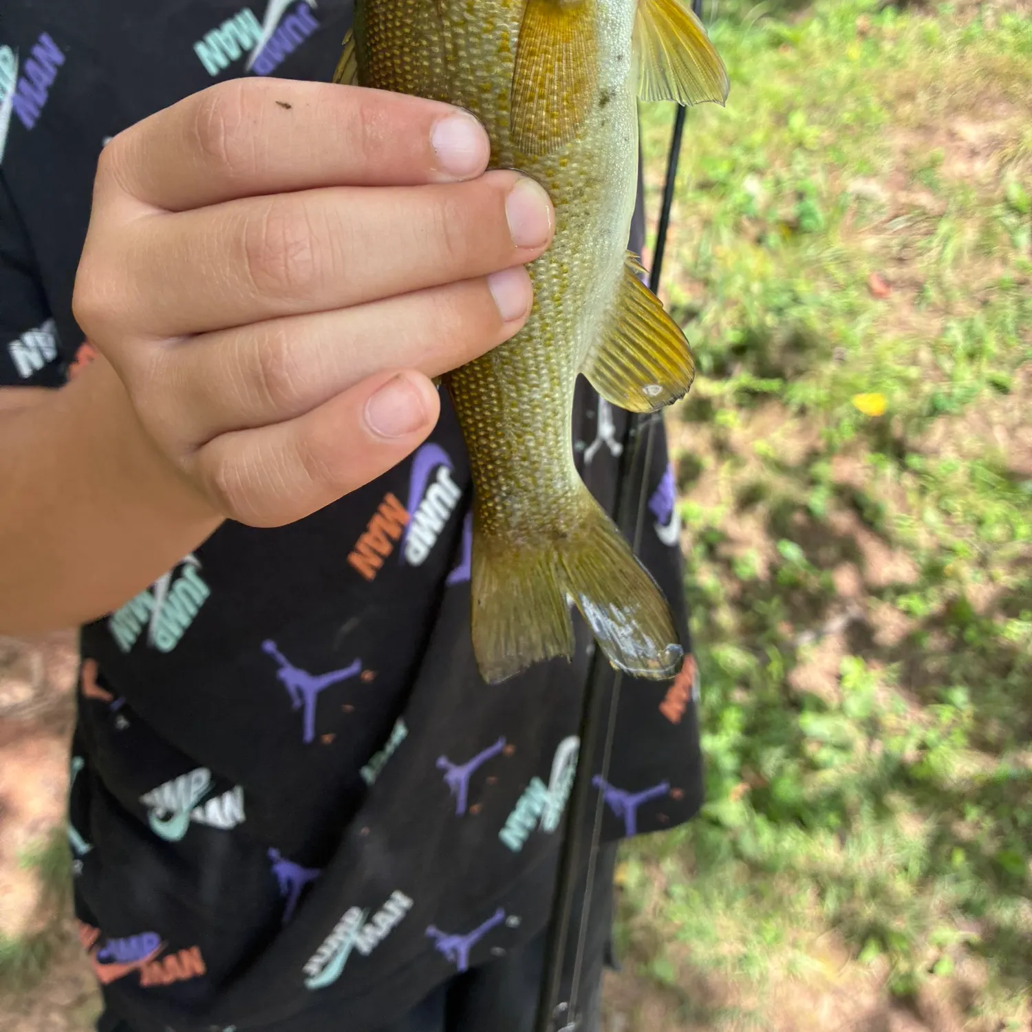 Smallmouth bass caught on Fishbrain
