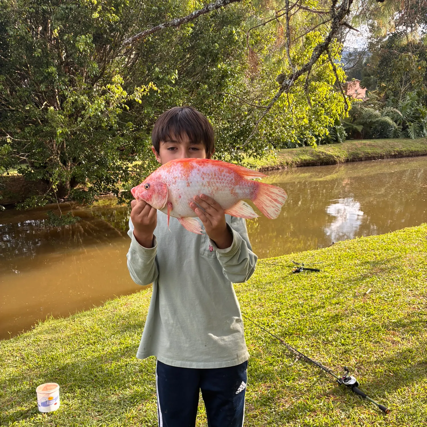 The most recent Red tilapia catches on Fishbrain